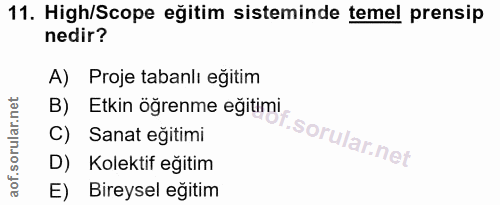 11. soru: High/Scope eğitim sisteminde temel prensip nedir? A) Proje tabanlı eğitim B) Etkin öğrenme eğitimi C) Sanat eğitimi D…