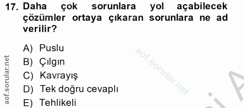 17. soru: Daha çok sorunlara yol açabilecek çözümler ortaya çıkaran sorunlara ne ad verilir? A) Puslu B) Çılgın C) Kavrayış D)…