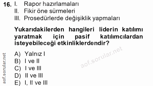 16. soru: 1. Rapor hazırlamaları II. Fikir öne sürmeleri III. Prosedürlerde değişiklik yapmaları Yukarıdakilerden hangileri lid…