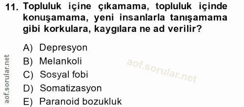 11. soru: Topluluk içine çıkamama, topluluk içinde konuşamama, yeni insanlarla tanışamama gibi korkulara, kaygılara ne ad veril…