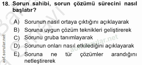 18. soru: Sorun sahibi, sorun çözümü sürecini nasıl başlatır? A) Sorunun nasıl ortaya çıktığını açıklayarak B) Soruna uygun çöz…