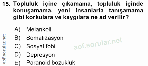15. soru: Topluluk içine çıkamama, topluluk içinde konuşamama, yeni insanlarla tanışamama gibi korkulara ve kaygılara ne ad ver…