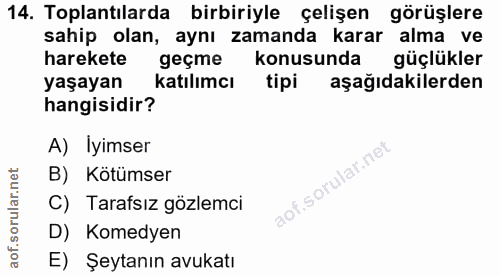 14. soru: Toplantılarda birbiriyle çelişen görüşlere sahip olan, aynı zamanda karar alma ve harekete geçme konusunda güçlükler…
