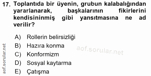 17. soru: Toplantıda bir üyenin, grubun kalabalığından yararlanarak, başkalarının fikirlerini kendisininmiş gibi yansıtmasına n…