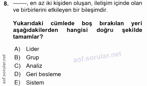8. soru: ---, en az iki kişiden oluşan, iletişim içinde olan ve birbirlerini etkileyen bir bileşimdir. Yukarıdaki cümlede boş…