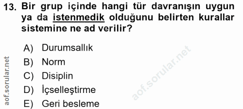 13. soru: Bir grup içinde hangi tür davranışın uygun ya da istenmedik olduğunu belirten kurallar sistemine ne ad verilir? A) Du…
