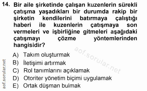 14. soru: Bir aile şirketinde çalışan kuzenlerin sürekli çatışma yaşadıkları bir durumda rakip bir şirketin kendilerini batırma…