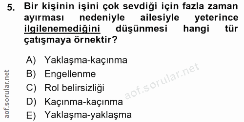 5. soru: Bir kişinin işini çok sevdiği için fazla zaman ayırması nedeniyle ailesiyle yeterince ilgilenemediğini düşünmesi hang…