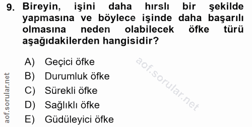 9. soru: Bireyin, işini daha hırslı bir şekilde yapmasına ve böylece işinde daha başarılı olmasına neden olabilecek öfke türü…