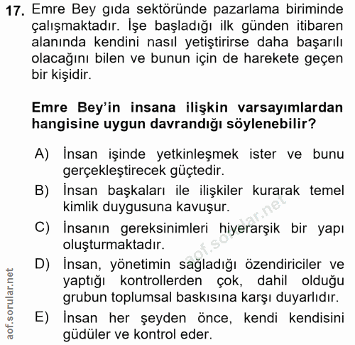 17. soru: Emre Bey gıda sektöründe pazarlama biriminde çalışmaktadır. İşe başladığı ilk günden itibaren alanında kendini nasıl…