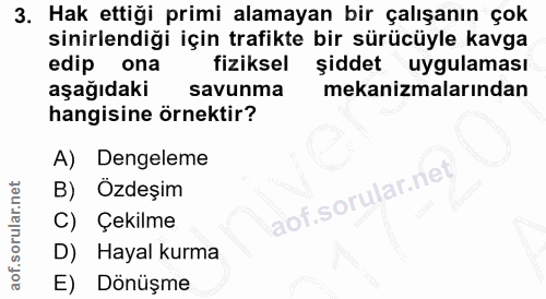 3. soru: Hak ettiği primi alamayan bir çalışanın çok sinirlendiği için trafikte bir sürücüyle kavga edip ona fiziksel şiddet u…