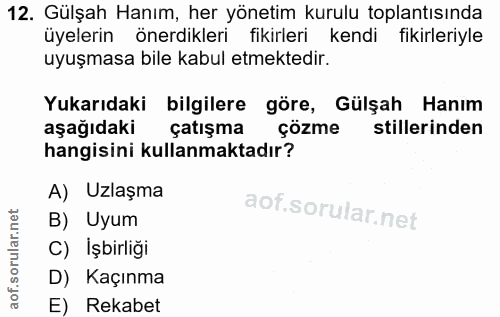 12. soru: Gülşah Hanım, her yönetim kurulu toplantısında üyelerin önerdikleri fikirleri kendi fikirleriyle uyuşmasa bile kabul…