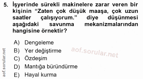 5. soru: İşyerinde sürekli makinelere zarar veren bir kişinin "Zaten çok düşük maaşa, çok uzun saatler çalışıyorum." diye düşü…