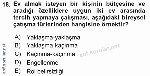 18. soru: Ev almak isteyen bir kişinin bütçesine ve aradığı özelliklere uygun iki ev arasında tercih yapmaya çalışması, aşağıda…