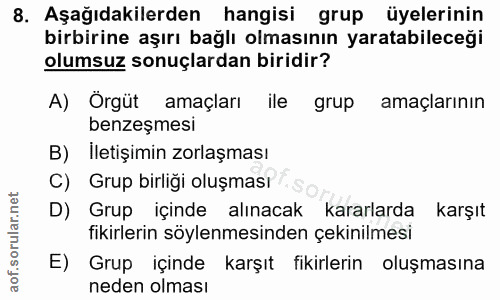 8. soru: Aşağıdakilerden hangisi grup üyelerinin birbirine aşırı bağlı olmasının yaratabileceği olumsuz sonuçlardan biridir? A…