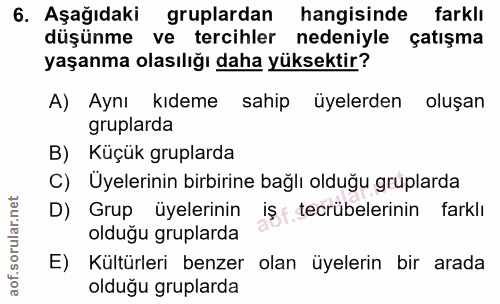 6. soru: Aşağıdaki gruplardan hangisinde farklı düşünme ve tercihler nedeniyle çatışma yaşanma olasılığı daha yüksektir? A) Ay…