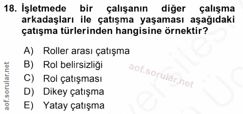 18. soru: İşletmede bir çalışanın diger çalışma arkadaşları ile çatışma yaşaması aşağıdaki çatışma türlerinden hangisine örnekt…