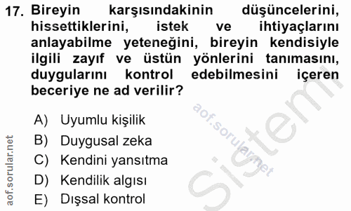 17. soru: Bireyin karşısındakinin düşüncelerini, hissettiklerini, istek ve ihtiyaçlarını anlayabilme yeteneğini, bireyin kendis…
