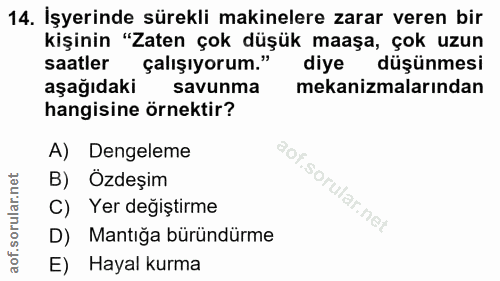 14. soru: İşyerinde sürekli makinelere zarar veren bir kişinin "Zaten çok düşük maaşa, çok uzun saatler çalışıyorum." diye düşü…