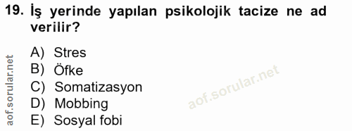 19. soru: Iş yerinde yapılan psikolojik tacize ne ad verilir? A) Stres B) Öfke C) Somatizasyon D) Mobbing E) Sosyal fobi