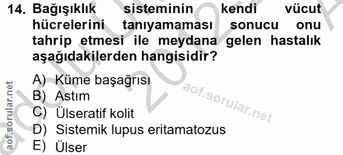 14. soru: Bağışıklık sisteminin kendi vücut hücrelerini tanıyamaması sonucu onu tahrip etmesi ile meydana gelen hastalık aşağıd…