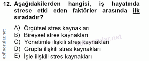 12. soru: Aşağıdakilerden hangisi, iş hayatında strese etki eden faktörler arasında ilk siradadır? A) Örgütsel stres kaynakları…