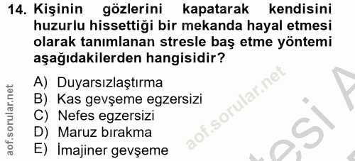 14. soru: Kişinin gözlerini kapatarak kendisini huzurlu hissettiği bir mekanda hayal etmesi olarak tanımlanan stresle baş etme…