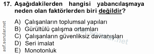 17. soru: Aşağıdakilerden hangisi yabancılaşmaya neden olan faktörlerden biri değildir? A) Çalışanların toplumsal yapıları B) G…