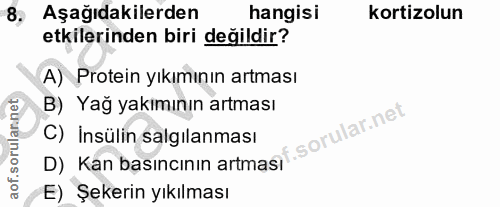 8. soru: Aşağıdakilerden hangisi kortizolun etkilerinden biri değildir? A) Protein yıkımının artması B) Yağ yakimının artması…