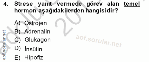 4. soru: Strese yanıt vermede görev alan temel hormon aşağıdakilerden hangisidir? A) Ostrojen B) Adrenalin C) Glukagon D) İnsü…