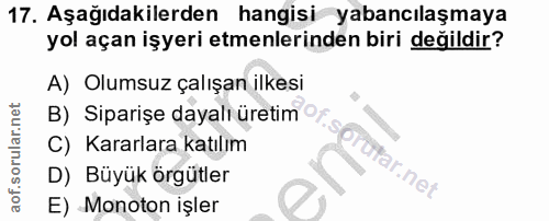17. soru: Aşağıdakilerden hangisi yabancılaşmaya yol açan işyeri emenlerinden biri değildir? A) Olumsuz çalışan ilkesi B) Sipar…