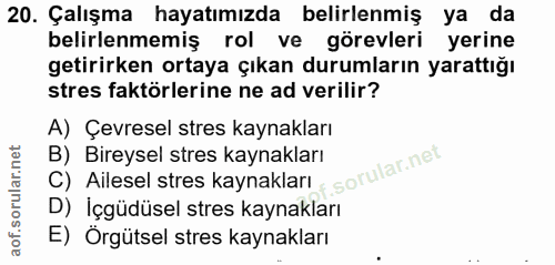 20. soru: Çalışma hayatımızda belirlenmiş ya da belirlenmemiş rol ve görevleri yerine getirirken ortaya çıkan durumların yaratt…