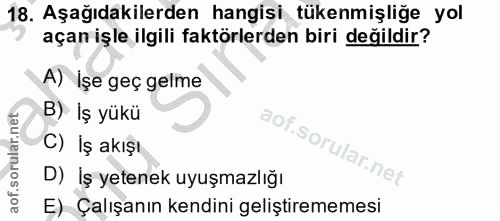 18. soru: Aşağıdakilerden hangisi tükenmişliğe yol açan işle ilgili faktörlerden biri değildir? A) İşe geç gelme B) Iş yükü C)…