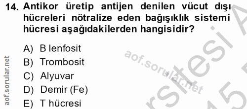 14. soru: Antikor üretip antijen denilen vücut dışı hücreleri nötralize eden bağışıklık sistemi hücresi aşağıdakilerden hangisi…