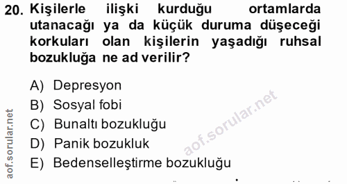 20. soru: Kişilerle ilişki kurduğu ortamlarda utanacağı ya da küçük duruma düşeceği korkuları olan kişilerin yaşadığı ruhsal bo…