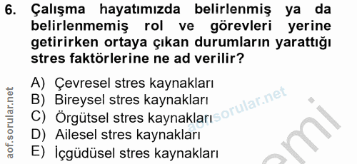 6. soru: Çalışma hayatımızda belirlenmiş ya da belirlenmemiş rol ve görevleri yerine getirirken ortaya çıkan durumların yaratt…