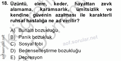 18. soru: Uzüntü, elem, keder, hayattan zevk alamama, karamsarlık, ümitsizlik ve kendine güvenin azalması ile karakterli ruhsal…