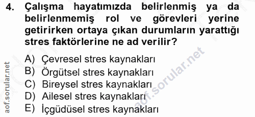 4. soru: Çalışma hayatımızda belirlenmiş ya da belirlenmemiş rol ve görevleri yerine getirirken ortaya çıkan durumların yaratt…