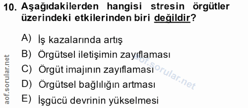 10. soru: Aşağıdakilerden hangisi stresin örgütler üzerindeki etkilerinden biri değildir? A) İş kazalarında artış B) Örgütsel i…