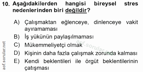 10. soru: Aşağıdakilerden hangisi bireysel stres nedenlerinden biri değildir? A) Çalışmaktan eğlenceye, dinlenceye vakit ayıram…