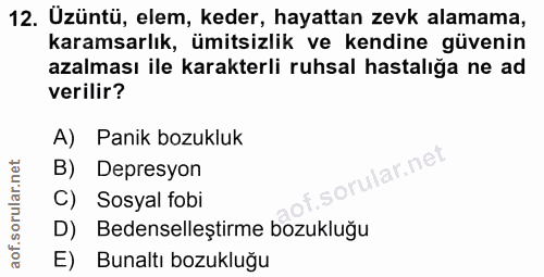 12. soru: Uzüntü, elem, keder, hayattan zevk alamama, karamsarlık, ümitsizlik ve kendine güvenin azalması ile karakterli ruhsal…