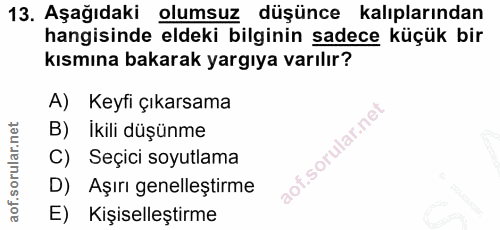 13. soru: Aşağıdaki olumsuz düşünce kalıplarından hangisinde eldeki bilginin sadece küçük bir kısmına bakarak yargıya varılır?…