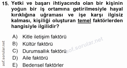 15. soru: Yetki ve başarı ihtiyacında olan bir kişinin yoğun bir iş ortamına getirilmesiyle hayal kırıklığına uğraması ve işe k…
