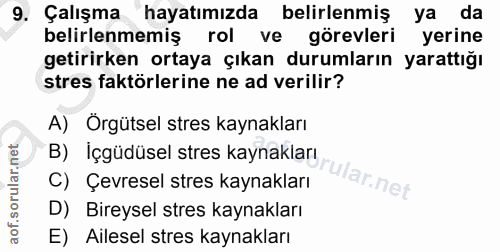 9. soru: Çalışma hayatımızda belirlenmiş ya da belirlenmemiş rol ve görevleri yerine getirirken ortaya çıkan durumların yaratt…