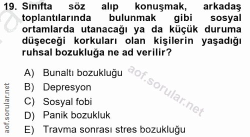 19. soru: Sinifta SÖZ alip konuşmak, arkadaş toplantılarında bulunmak gibi sosyal ortamlarda utanacağı ya da küçük duruma düşec…