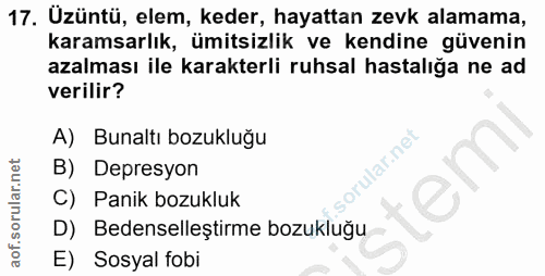 17. soru: Uzüntü, elem, keder, hayattan zevk alamama, karamsarlık, ümitsizlik ve kendine güvenin azalması ile karakterli ruhsal…