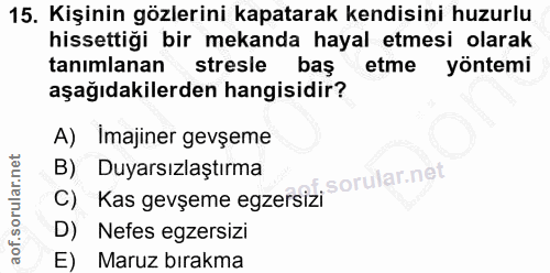 15. soru: Kişinin gözlerini kapatarak kendisini huzurlu hissettiği bir mekanda hayal etmesi olarak tanımlanan stresle bas etme…