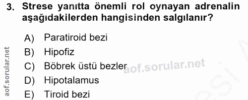 3. soru: Strese yanıtta önemli rol oynayan adrenalin aşağıdakilerden hangisinden salgılanır? A) Paratiroid bezi B) Hipofiz C)…