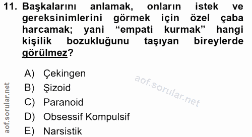 11. soru: Başkalarını anlamak, onların istek ve gereksinimlerini görmek için özel çaba harcamak; yani "empati kurmak" hangi kiş…