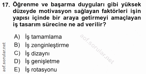 17. soru: Öğrenme ve başarma duyguları gibi yüksek düzeyde motivasyon sağlayan faktörleri işin yapısı içinde bir araya getirmey…